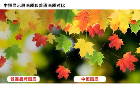 LED大屏_07.jpg