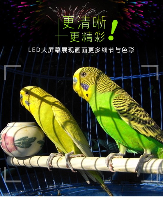LED大屏幕_01.jpg