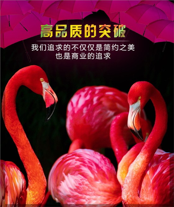 LED电子屏_01.jpg