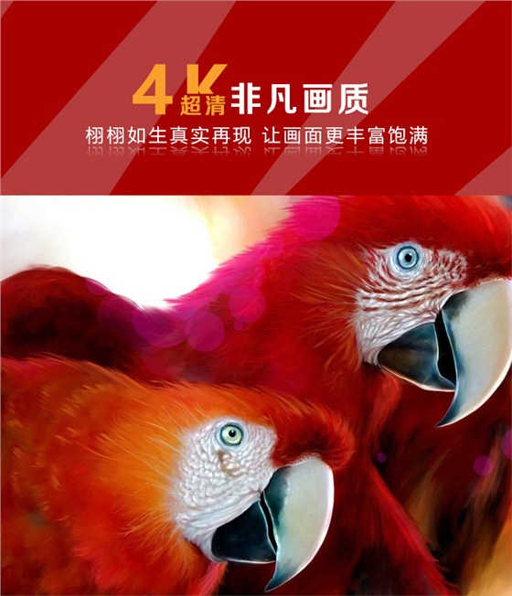 LED显示屏_01.jpg