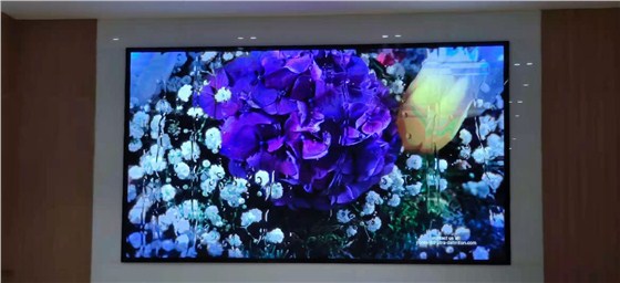 长丰外语学院 (3).jpg