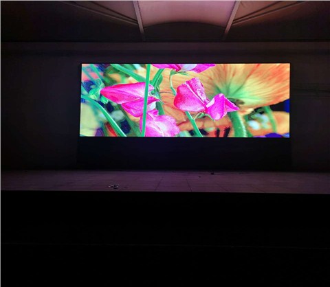 无为城南小学户外P5