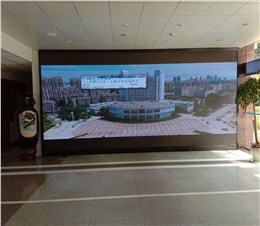 芜湖县政府室内2.0