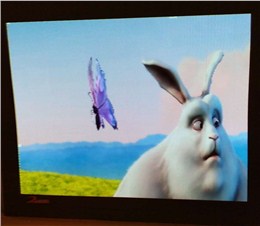 之心城鬼冢虎室内P3