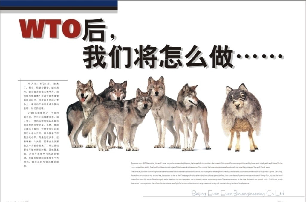 6356814630471875004591366.jpg 6356814630471875004591366.jpg