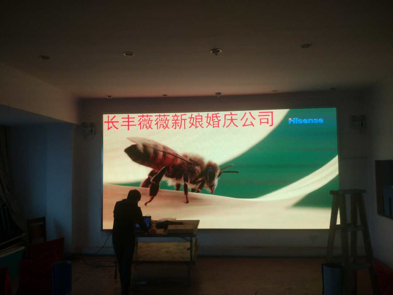 长丰薇薇新娘 (3).jpg 长丰薇薇新娘 (3).jpg