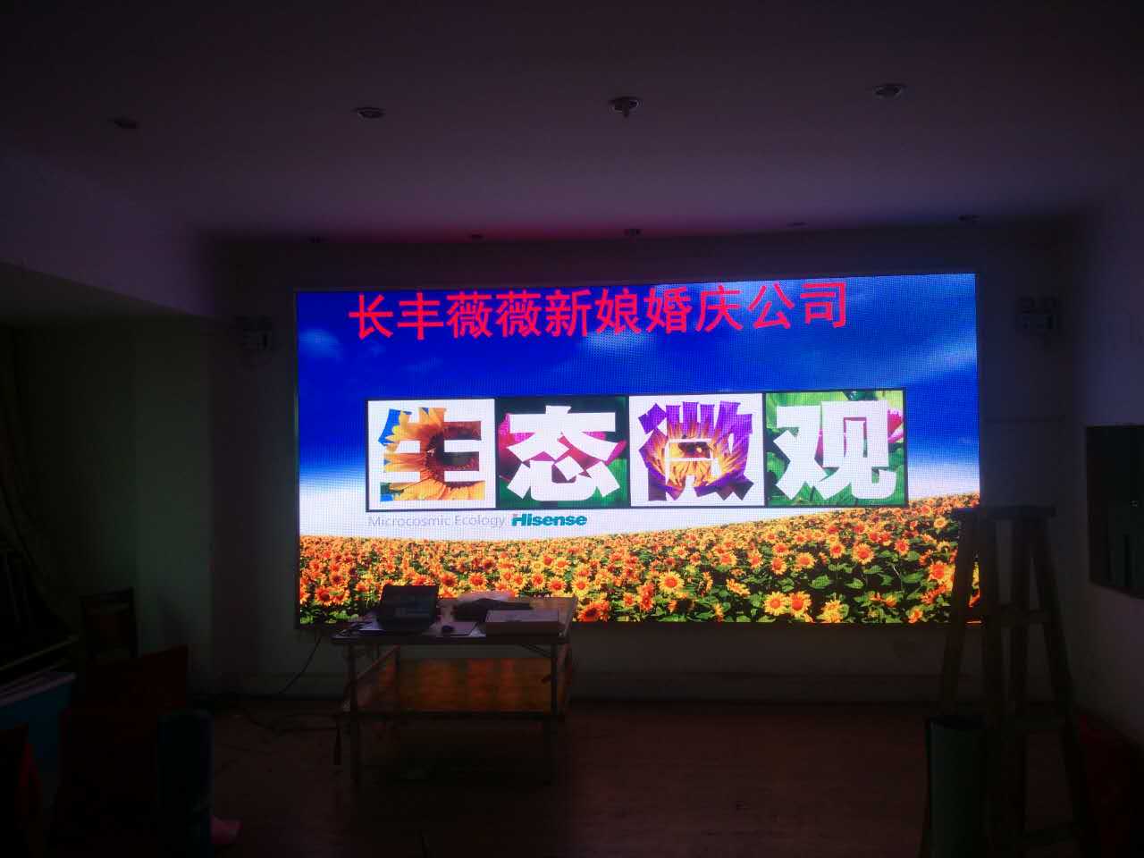 长丰薇薇新娘 (4).jpg 长丰薇薇新娘 (4).jpg