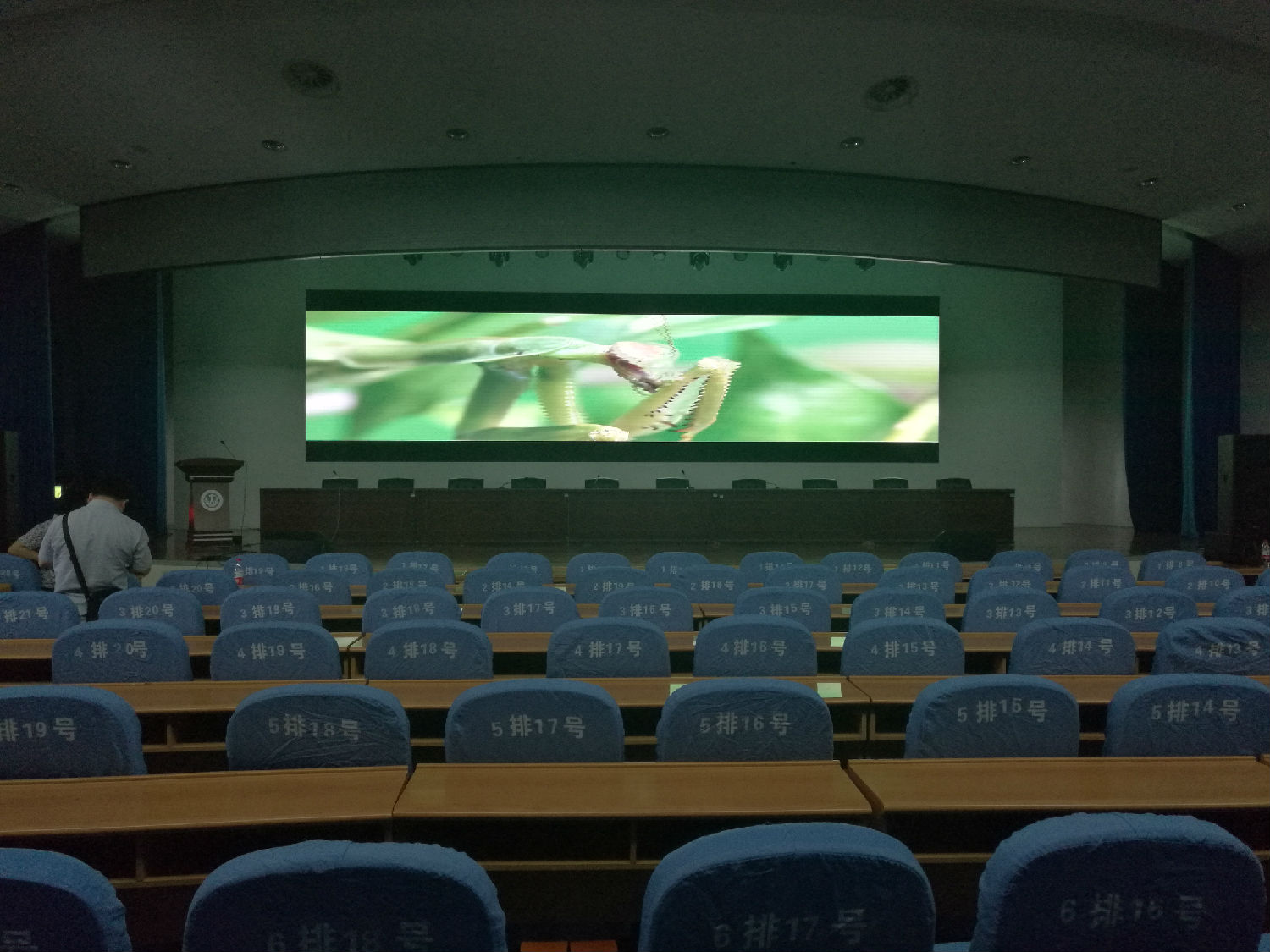 469433552768798669.jpg 469433552768798669.jpg