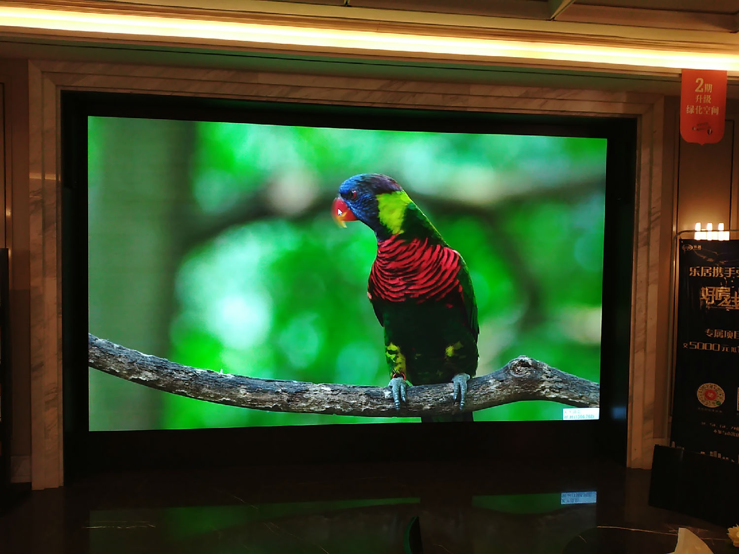 安庆弘阳广场 (4).jpg 安庆弘阳广场 (4).jpg