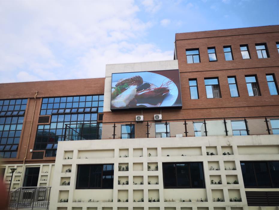 北城中学户外Q4 (4),.jpg 北城中学户外Q4 (4),.jpg