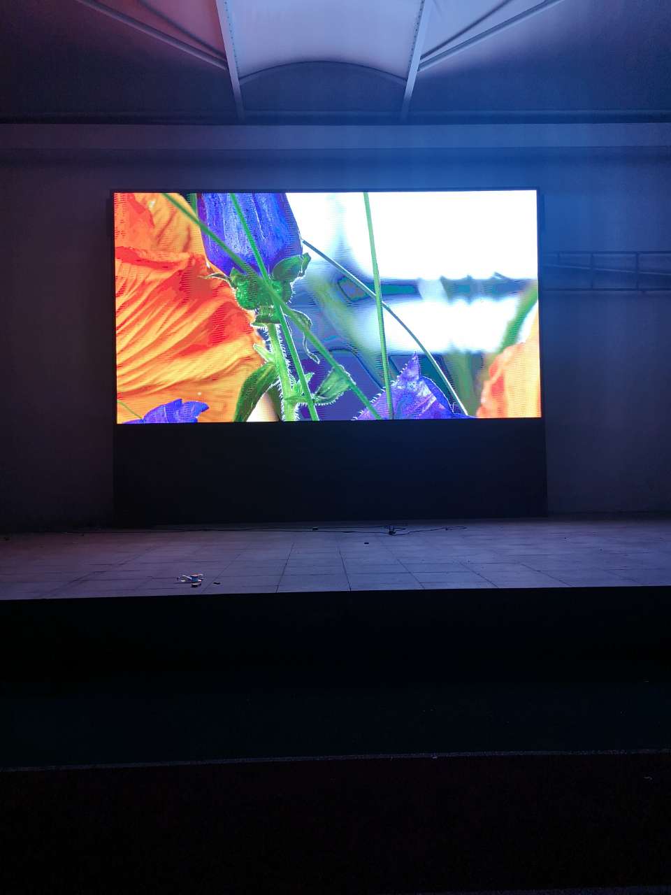 无为城南小学户外P5 无为城南小学户外P5